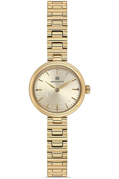 Momentus Cw313G-08Sg