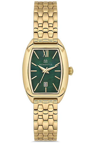 Momentus سي دبليو310جي-15إس جي