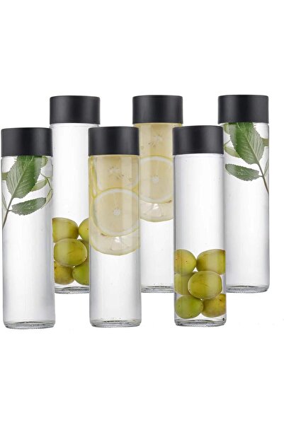 FUFU 6-Pack 16oz Glass Juice Bottles with Black Lids - 500ml