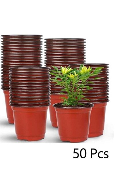Bukela عبوة من 50 وعاء بلاستيكي لزراعة النباتات العصارية والشتلات والعقل، مقا...