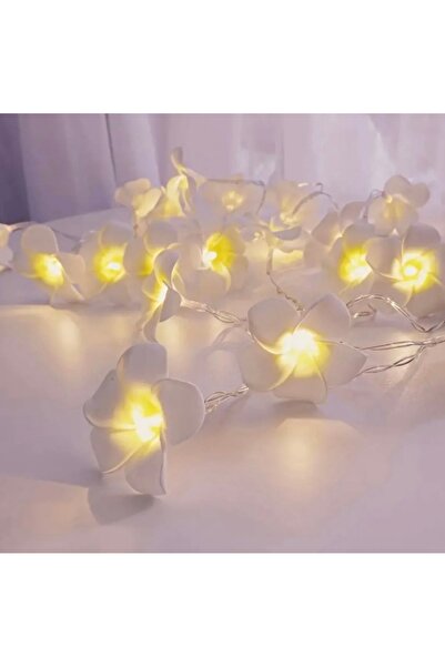 ALYA PARTİ 1.Kalite Çicek Yılbaşı Süsleme Led Işığı Hediyelik Yılbaşı Led Işı...