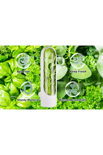 Choice Fridge Herb Keeper - Fresh Herb Storage Container for Herbs & Vegetables (1 Piece)