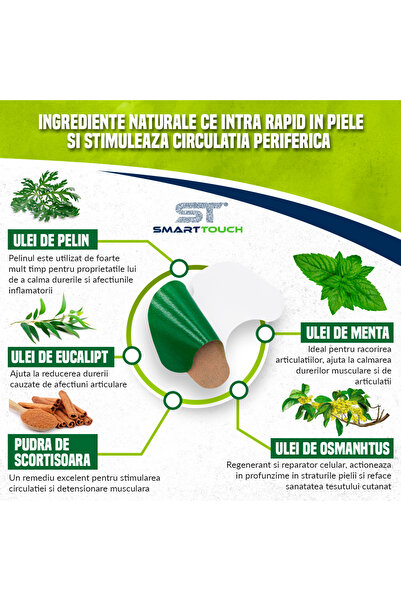 Other Wormwood patches for knee pain, 6 pieces, Smart Touch