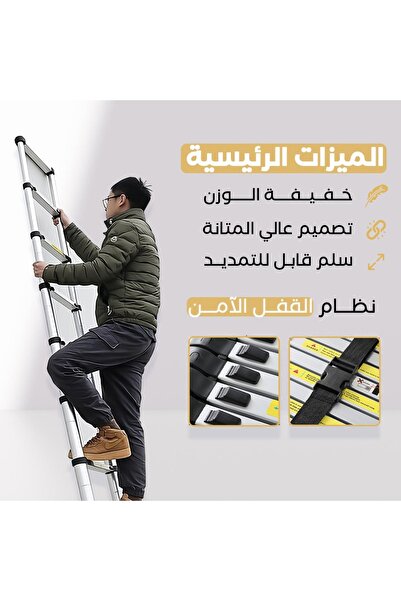 Genaric Extendable telescopic ladder - made of rust-resistant aluminum, 3.8 meters long