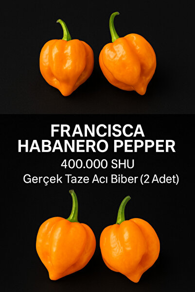 HotByNature FRANCISCA HABANERO PEPPER / 400.000 Scoville - Gerçek Taze Acı Biber