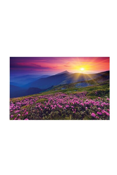 4Decor Pânză Tablou 4Decor, Apusuri de soare, 95x150cm, DE0174