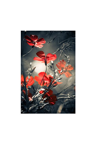 4Decor Pânză Tablou 4Decor, Negru și roșu, 95x150cm, DE0375