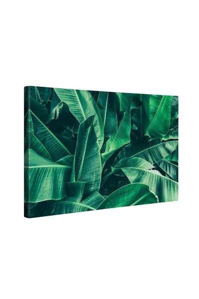 4Decor Tablou canvas 4Decor, Green life, 60x90cm, DE0268