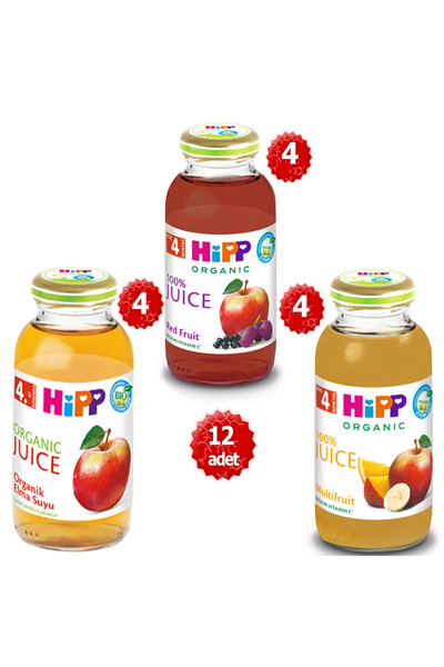 Hipp Organik x 12 Adet Karışık Meyve Suyu 200ml