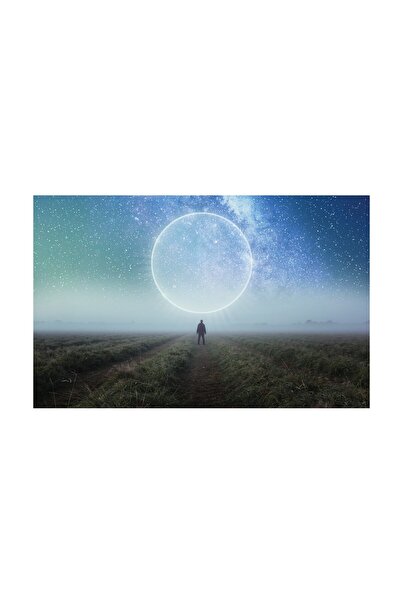 4Decor Tablou pânză 4Decor, Câmp și stele, 60x90cm, DE0331