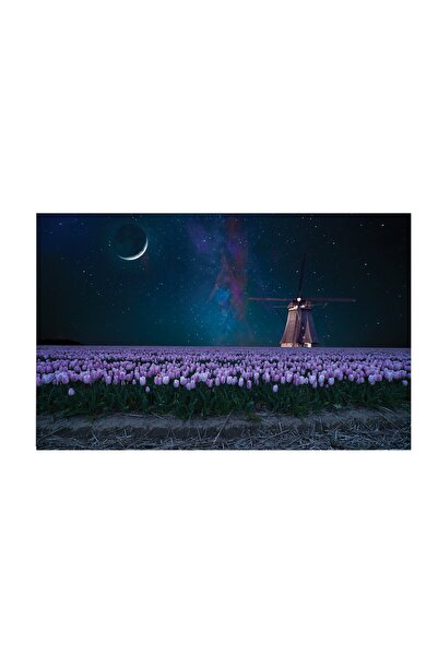 4Decor Pânză Tablou 4Decor, Purple night, 95x150cm, DE0188