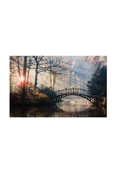 4Decor Pânză Tablou 4Decor, Sunlight, 60x90cm, DE0300