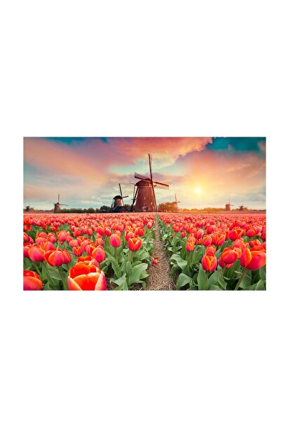 4Decor Pânză Tablou 4Decor, Lalele roșii în apus, 95x150cm, DE0243