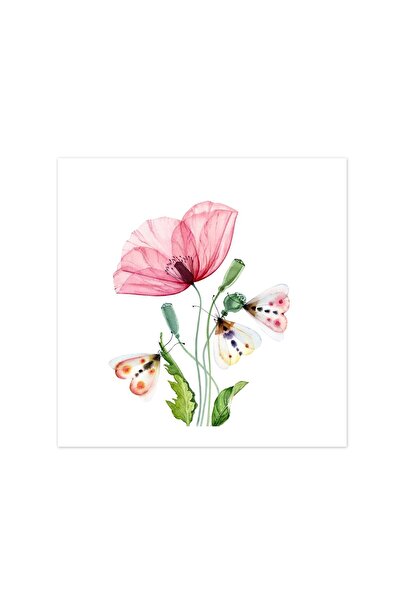 4Decor Pânză Tablou 4Decor, Floare de mac, 50x50cm, DE0378