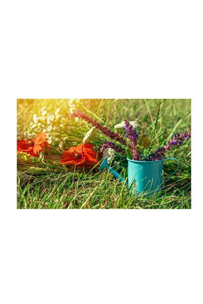 4Decor Tablou pânză 4Decor, Stropitoare albastră, 60x90cm, DE0276