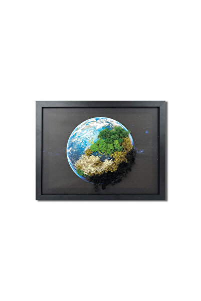 4Decor Tablou canvas cu licheni, Planet Earth, 35x45 cm, MH0016