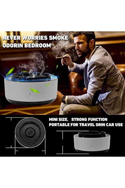 OEM NEI STORE Direct Suction Electric Ashtray and Negative Ion Air Purifier