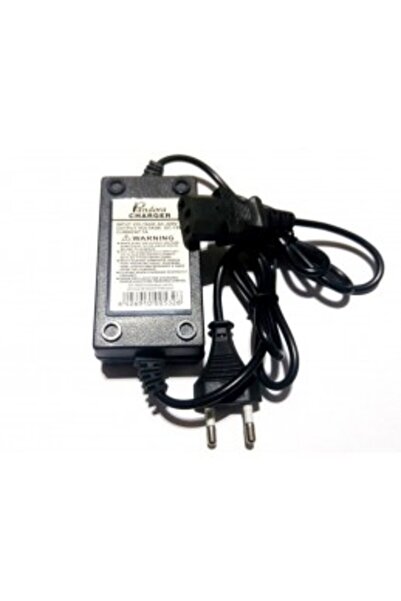 Pandora Charger for electric sprinkler pump with 12V 1A battery, compatible with Ruris, Micul Ferm