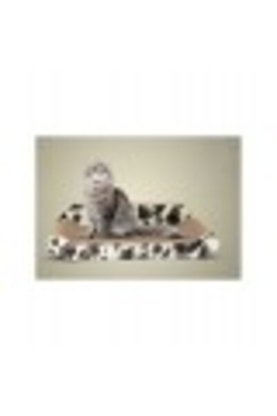 PADO Cat Scratcher with Wall 500x260x115mm