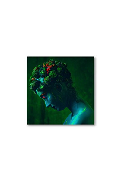 4Decor Pânză Tablou 4Decor, Gaia, 50x50cm, DM0199