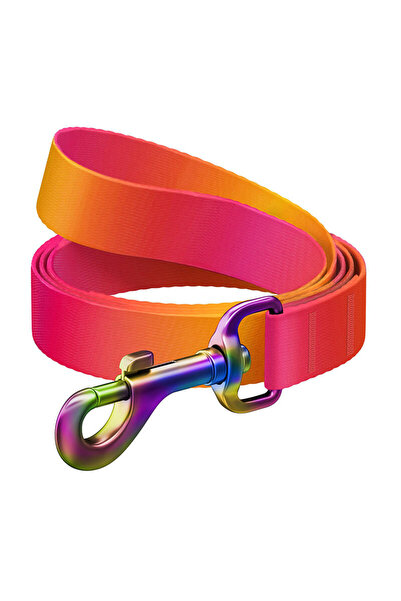 WAUDOG gradient nylon lesă câine, 15mm lățime, 122cm lungime, portocaliu