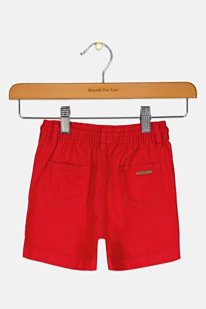 Overkids Toddlers Girl Regular fit Solid pant, Red