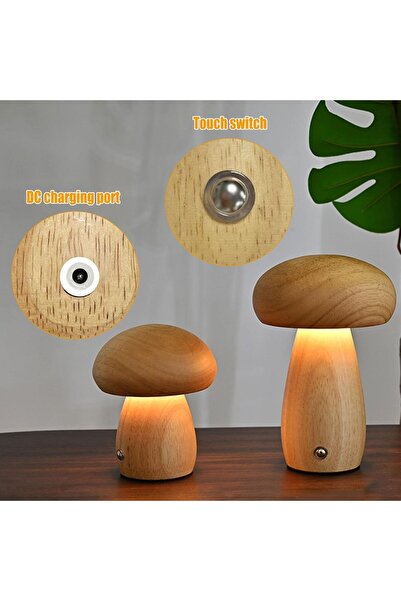 OEM Luolety LED Lamp, Wood, Touch Switch, 3 Adjustable Colors, 3W, USB Charging, Color