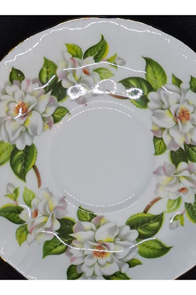 Paragon Polar Bear Camellia Series Cup Saucer 13 cm