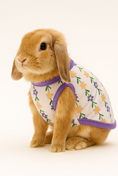 sevgipet Tavşan Kıyafeti – Karışık Renk Gönderim