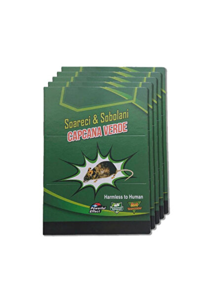 capcana verde Capcane soareci - Set 10 x capcana cu lipici pentru soareci