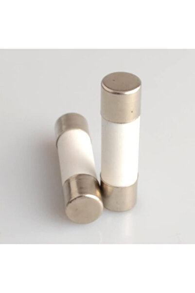 Raco Ceramic Fuse 5-Pcs Fast Blow 250V Ceramic Tube Fuses (10x38, 16A)