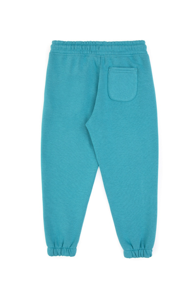 U.S. Polo Assn. Boy's Mint Sweatpants 50313976-Vr152