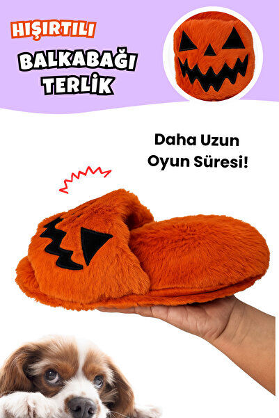Havhav Halloween Themed 2-Piece Plush Slipper Dog Toy |   Activity Toy with Rustling Sound