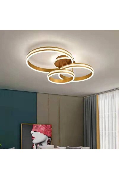 RFAN LED Chandelier, Model F2331-3, with Remote Control, 3 Light Types, 296W,...