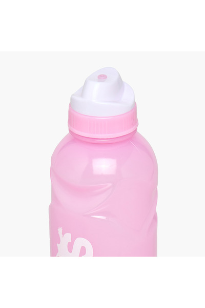 Smash Slogan PETG Water Bottle with Leakproof Lid – 500 ml