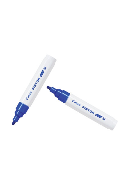 Pilot Pintor (m) Round Tip Blue (Two Pieces)