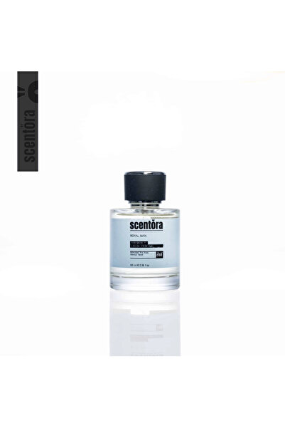 scentora Parfum Royal Man pentru bărbați 100ml nr. 169