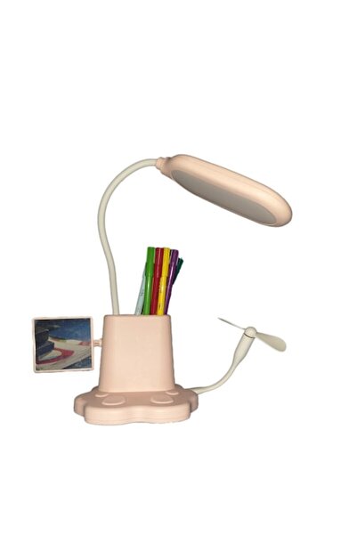 OEM Desk lamp, LED, 3W rechargeable, 3 light modes, pen holder, mirror and fan, pink, 13x11x49 cm