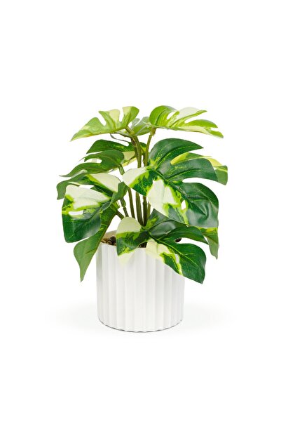 OEM Planta artificiala decorativa - Filodendron verde/galben - 20 x 8 cm