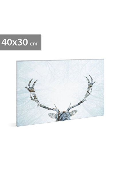 Alista Home Tablou decorativ LED, cu ren - 40 x 30 cm