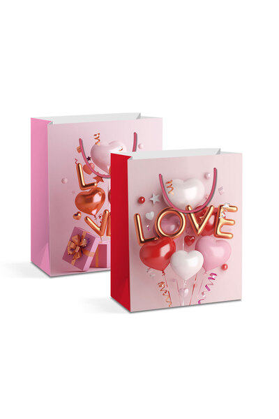 OEM Punga cadou - hartie - 114 x 64 x 146 mm - 2 tipuri/ pachet