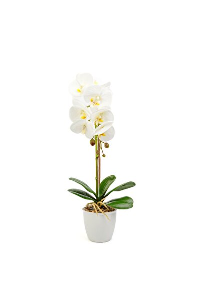 CED AUTO TRADE Artificial plant decoration – White orchid – 48 cm