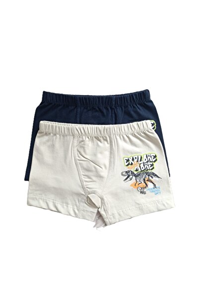 ADN KİDS ADN Erkek Çocuk Baskılı Boxer 2 li Paket 2-3 yaş