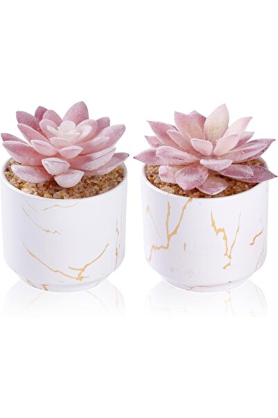 Generic Zenida Artificial Succulent Plants in Two White Ceramic Pots, Small Decorative Plants for Office, Ba