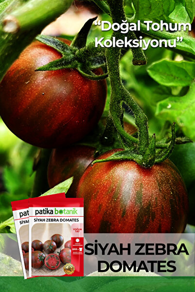 Patika Botanik 20 Adet Siyah Zebra Domates Tohumu