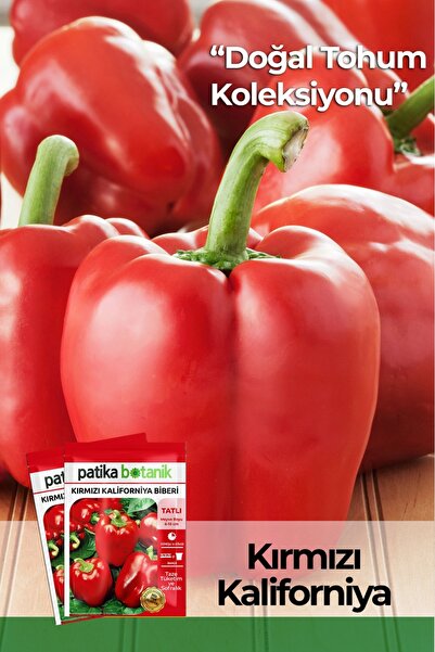 Patika Botanik 100 Adet Kırmızı Kaliforniya Biber Tohumu