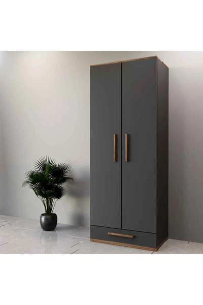 Stylish Home Gray and brown two-door wardrobe and closet - DLB03