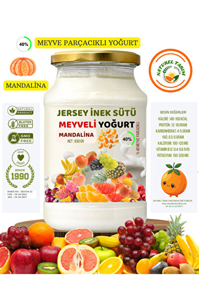 NATUREL MANDALİNA PARÇAÇIKLI MEYVELİ YOĞURT 830 GR