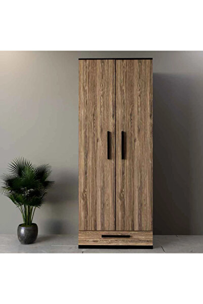 Stylish Home Brown and black two-door wardrobe and closet - DLB03