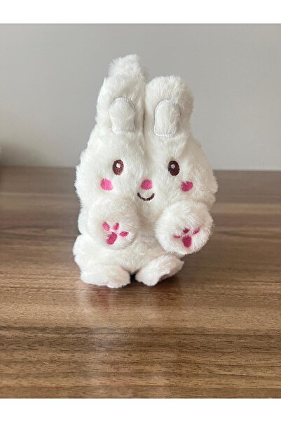 zyc Women/Girls Soft Plush Winter Earmuffs with Rabbit Figure